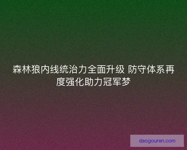 森林狼内线统治力全面升级 防守体系再度强化助力冠军梦