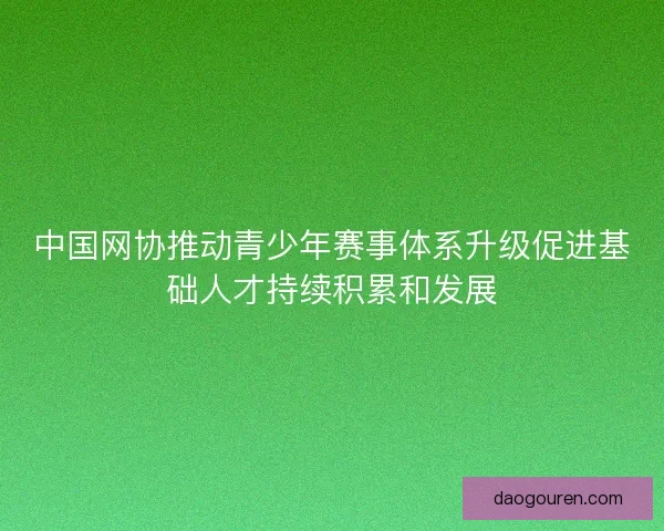 中国网协推动青少年赛事体系升级促进基础人才持续积累和发展